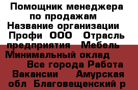 Помощник менеджера по продажам › Название организации ­ Профи, ООО › Отрасль предприятия ­ Мебель › Минимальный оклад ­ 60 000 - Все города Работа » Вакансии   . Амурская обл.,Благовещенский р-н